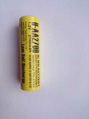  Energy Technology H-AA2700LSD (,  4)