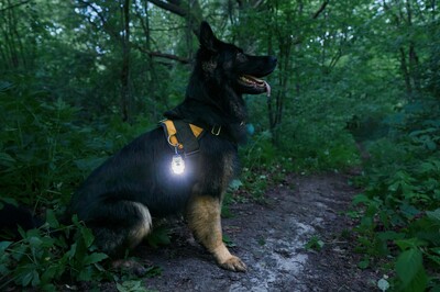 Armytek Crystal Pro IR Grey Armytek Crystal Pro IR Grey