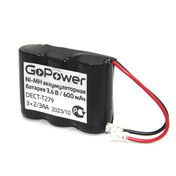  GoPower T279